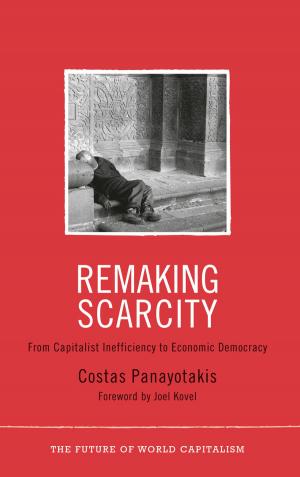 Cover of the book Remaking Scarcity by Brian Morris