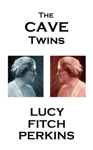 bigCover of the book The Cave Twins by 