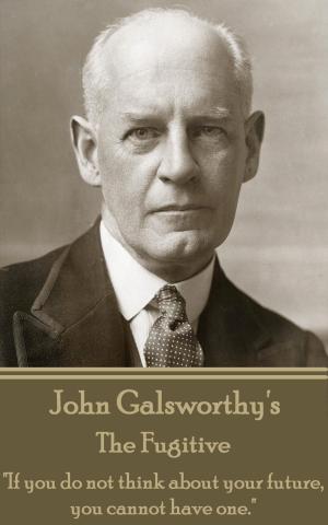 Cover of the book The Fugitive by John Galsworthy