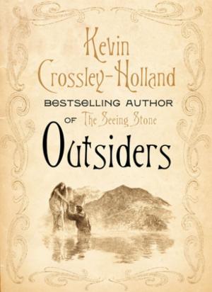 Cover of the book Outsiders by Dennis M Lane