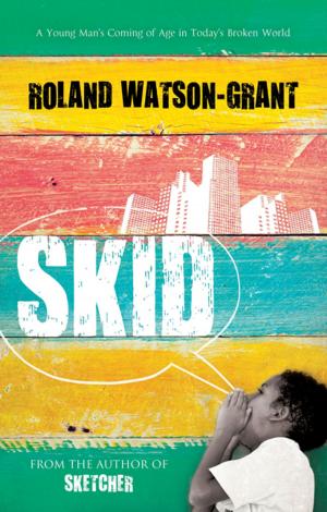 Cover of the book Skid by Alessandro Gallenzi