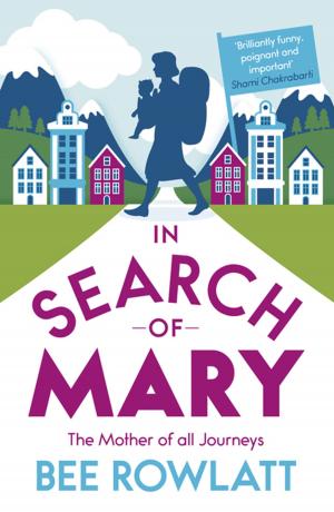 Cover of the book In Search of Mary: The Mother of all Journeys by Cecco Angiolieri