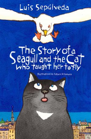 bigCover of the book The Story of a Seagull and the Cat Who Taught Her to Fly by 