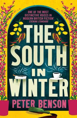 Cover of the book The South in Winter by Fyodor Dostoevsky