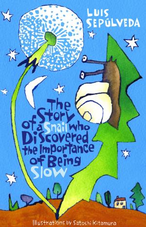 Cover of the book The Story of a Snail Who Discovered the Importance of Being Slow by Tristan Tzara