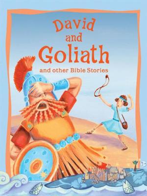 Cover of the book David and Goliath and Other Bible Stories by Steve Parker