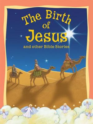 Cover of The Birth of Jesus and Other Bible Stories