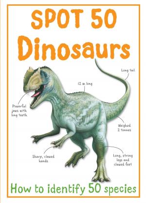 Cover of the book Spot 50 Dinosaurs by Sally Morgan