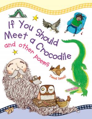 bigCover of the book If you Should meet a Crocodile by 