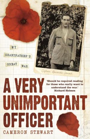 Cover of the book A Very Unimportant Officer by Sadie Matthews