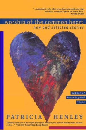 Cover of the book Worship of the Common Heart by Stephen H. King