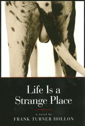 Book cover of Life is a Strange Place