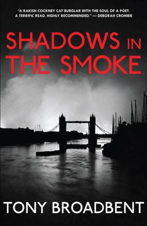 Cover of the book Shadows in the Smoke by Clayton Lindemuth