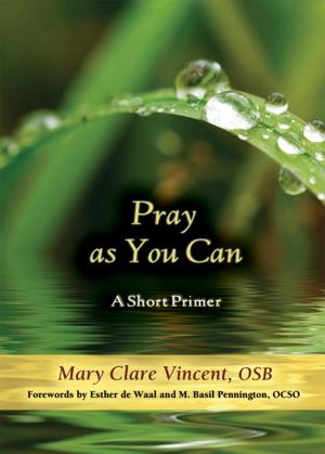 Cover of the book Pray as You Can: A Short Primer by Antonio Martinez Jr., SJ, David Warden