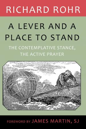 Book cover of Lever and a Place to Stand, A: The Contemplative Stance, the Active Prayer