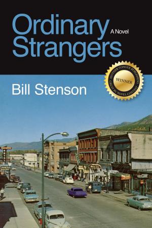 Book cover of Ordinary Strangers