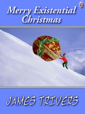 Book cover of MERRY EXISTENTIAL CHRISTMAS