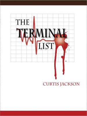 Book cover of THE TERMINAL LIST