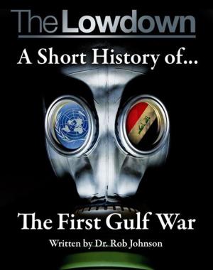 Cover of the book The Lowdown: A Short History of the First Gulf War by Isla Blair