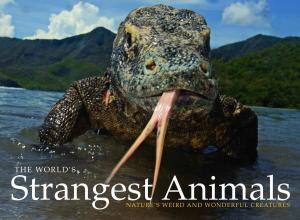 Cover of the book World's Strangest Animals by Mike Ryan, Chris Mann, Alexander Stilwell