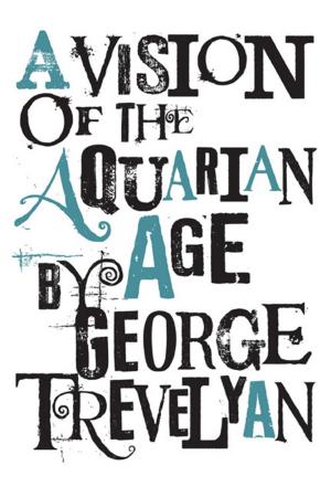 Cover of A Vision of the Aquarian Age