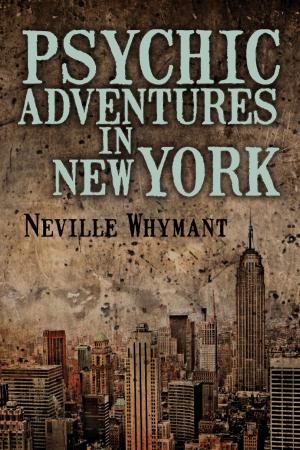 Cover of the book Psychic Adventures in New York by Peter Fenwick & Elizabeth Fenwick