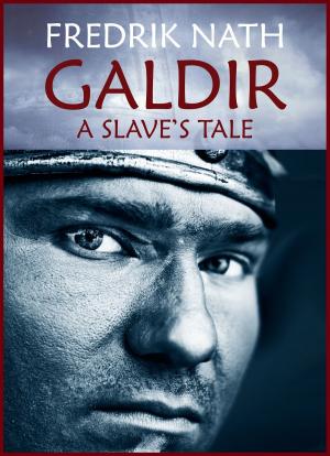 Cover of the book Galdir - A Slave's Tale by Raven M. Williams