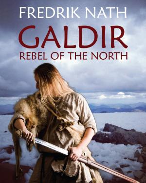 Cover of the book Galdir - Rebel of the North by Speer Morgan