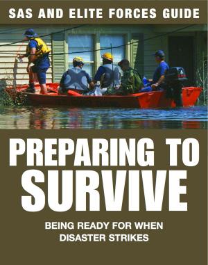 Cover of the book Preparing to Survive by Chris Mann