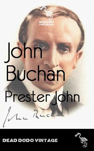 Cover of the book Prester John by Ioanna Skarlatou