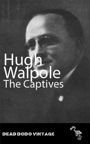 Book cover of The Captives