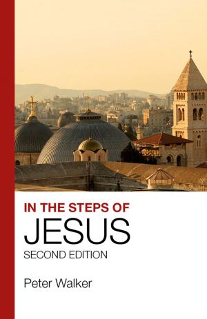 Cover of the book In the Steps of Jesus by Phil Moore