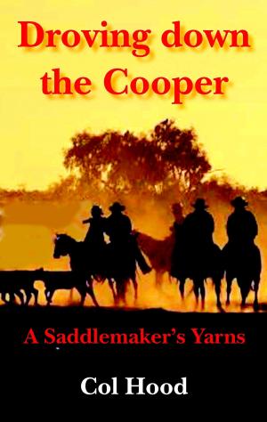 Book cover of Droving down the Cooper