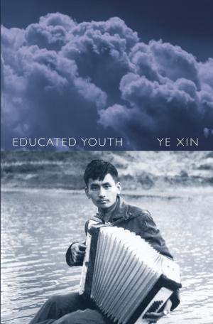 Cover of the book Educated Youth by Nicholas Jose