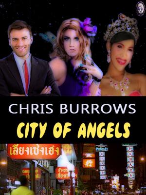 Cover of the book CITY OF ANGELS by Victoria Schwimley