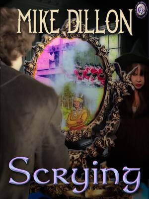 Cover of the book SCRYING by J.R. BURTON