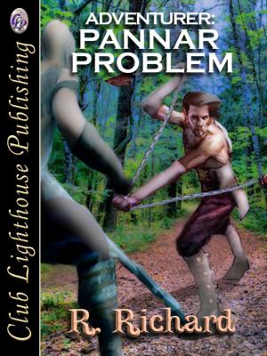 Book cover of Adventurer: Pannar Problem