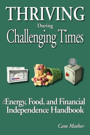 Cover of the book Thriving During Challenging Times by Teerapon Chan-Iam