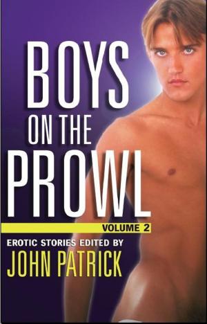 Book cover of Boys on the Prowl volume 2