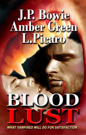 Cover of the book Blood Lust by H.C. Paye