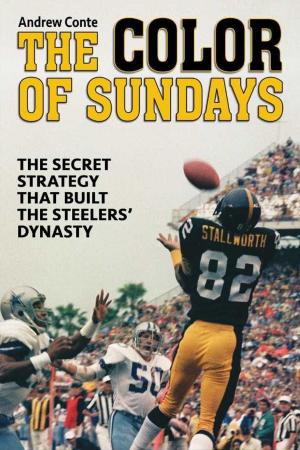 Cover of the book Color of Sundays by Andrew Conte