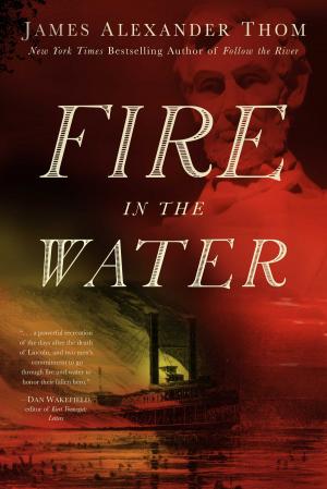 Cover of the book Fire in the Water by Lew Freedman