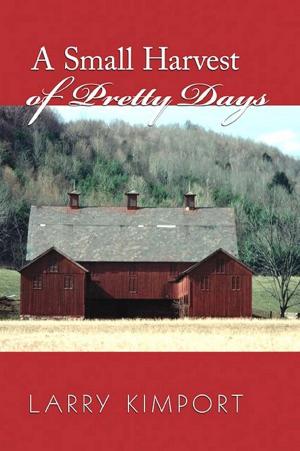 Cover of the book A Small Harvest of Pretty Days by Nick Taddeo