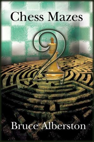 Cover of the book Chess Mazes 2 by Mark Dvoretsky