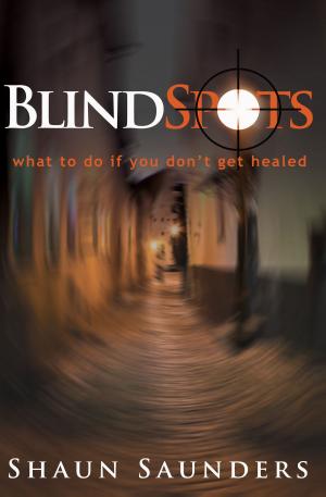 Cover of the book Blindspots by Bill Day