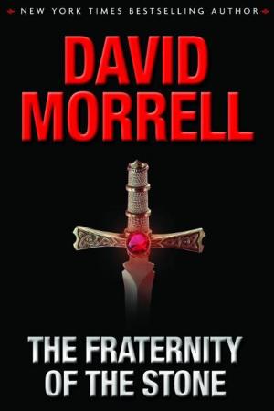 Cover of the book The Fraternity of the Stone by David Morrell