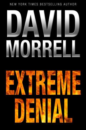 Book cover of Extreme Denial
