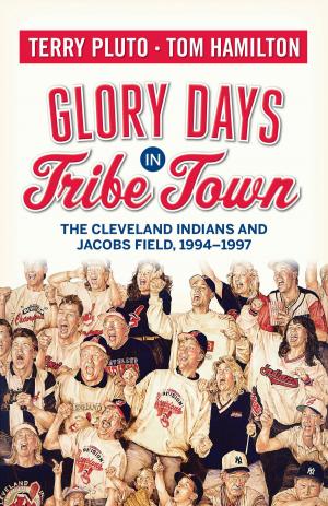Book cover of Glory Days in Tribe Town