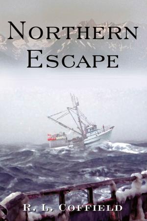Book cover of Northern Escape