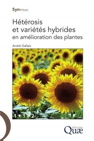 Cover of the book Hétérosis et variétés hybrides en amélioration des plantes by David L. Abel